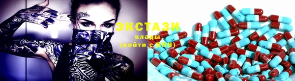 шишки Абаза
