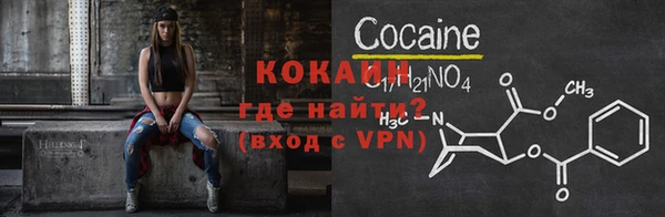 шишки Абаза
