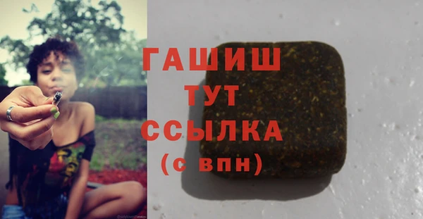 шишки Абаза