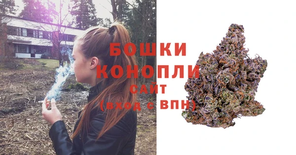 шишки Абаза