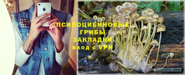 кокс Абдулино