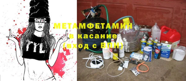 шишки Абаза
