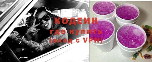 шишки Абаза