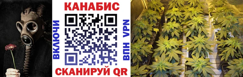 Конопля VHQ  Северодвинск 